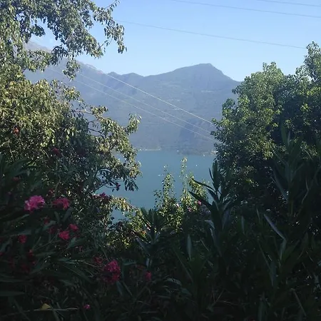 Artemisio Gravedona